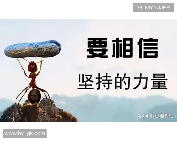 深度对话吴强排球人生的追求与坚持探索之路