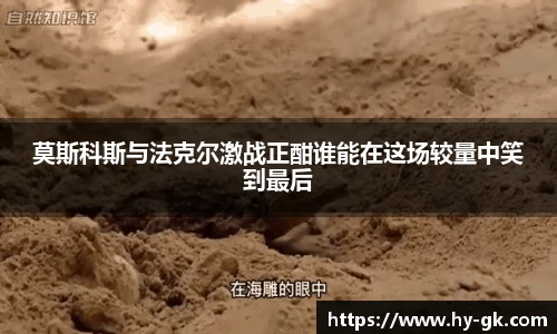MK体育官方网站